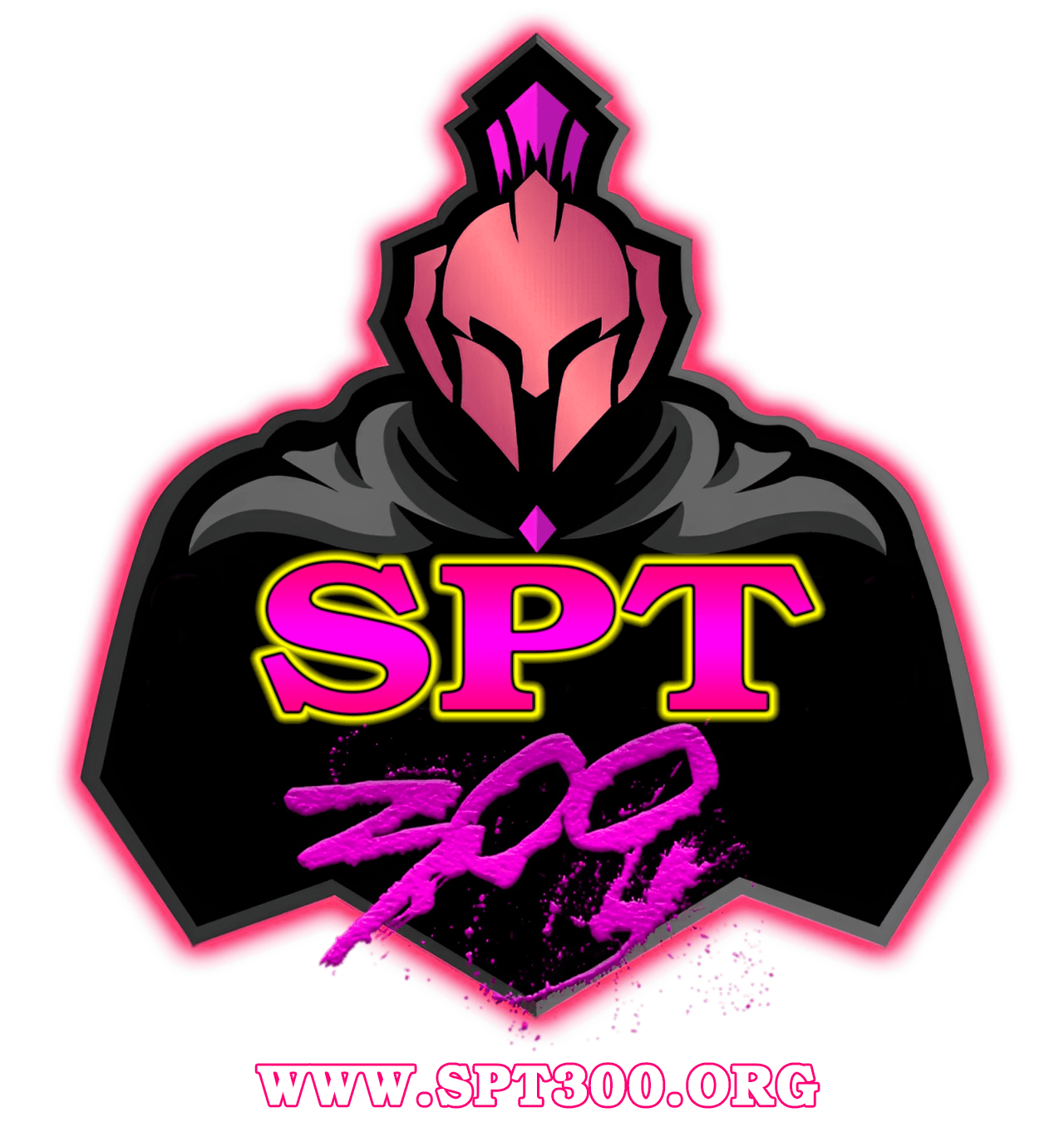 spt300